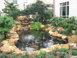 英德黃蠟石,景觀石,園林石